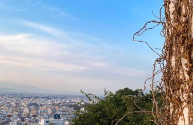 Porto Pireo Penthouse Sea View - Foto 32