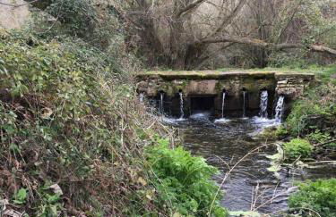 El Carro del Abuelo - Foto 24