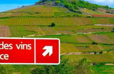 L'Etoile du Vignoble Meublé de Tourisme 4 étoiles au cœur d'un ranch alsacien sur la route des Vins - Climatisé - Foto 43