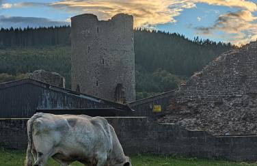 16th Century House, Castle Views, Mountain Views, Hot Tub, Firepit, Stunning Interiors - Foto 7