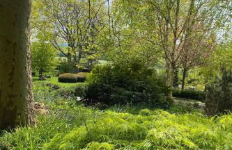 Holiday Home Schöndorf by Interhome - Foto 55