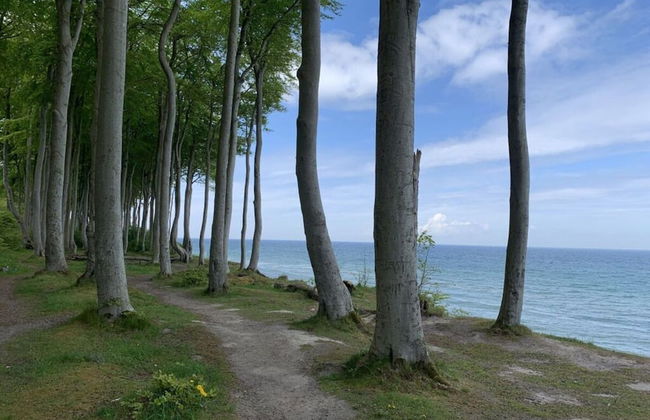 Luxury Holiday Home With Sauna - Foto 14