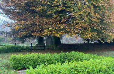 Winstitchen Cottage situated near the River Barle - Foto 70