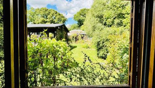 Hideaway - Photo 1, Garden