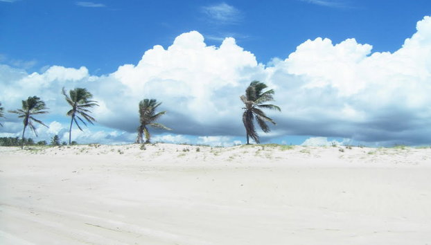 Tour de un día completo por la ciudad de Fortaleza con visita a la playa de Cumbuco - Foto 5