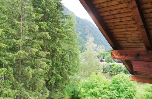 Cèsa Pier Sellaronda Dolomiti - Foto 20