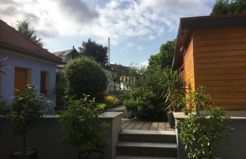 Apartment im Elbtal Dresden, Meißen, Moritzburg - Foto 23