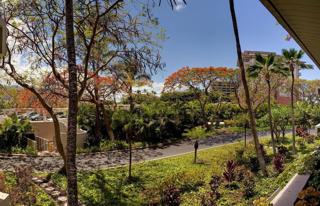 Kaanapali Alii 2 Bedroom Garden-Mountain View - Foto 12