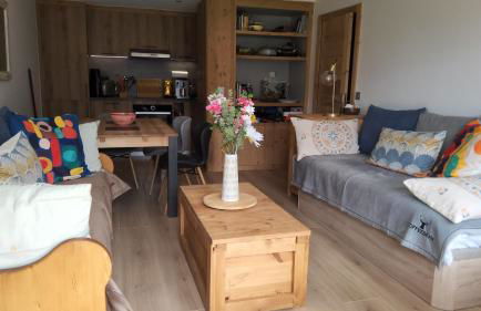 Le Soladret - 2 pièces 4 étoiles - Vue extraordinaire sur les Aravis - Foto 10