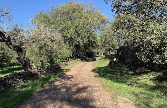 Casa Rural Sierra Tórtola 2 - Foto 70