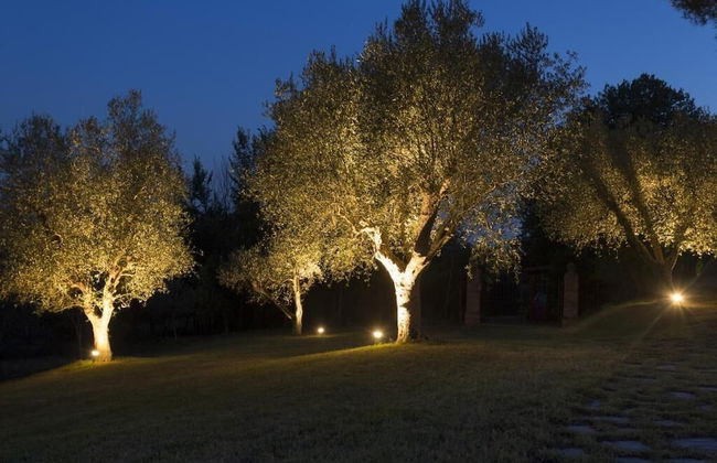 Casale degli Ulivi - Photo 52