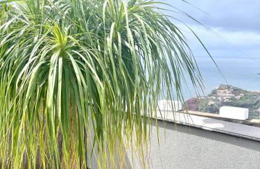 Villa Cassolino - Photo 21