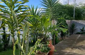 Blue House Casa de temporada no brejo - Photo 21