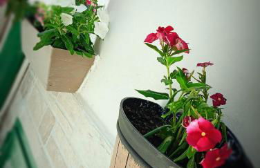 A meravigghia Casa vacanze - Foto 6