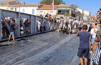 appartement proche mer - Foto 14