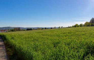 Wonderful Renovated Apartment With Great Location - Foto 38