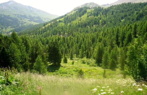 Exceptionnel - En bordure de pistes et skis aux pieds - PELVOUX II - VARS - Foto 38