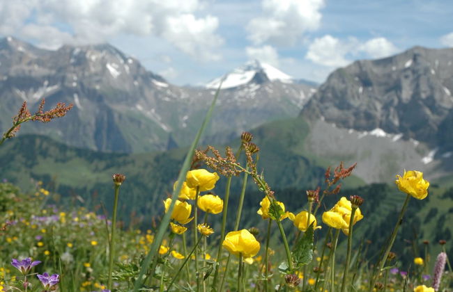 Bärgchutzli Parterre - Foto 8