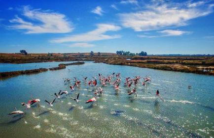 Casa Verde Ayamonte - Foto 98
