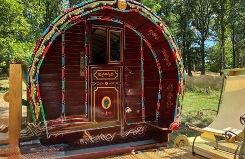 2 Guests - Pet Friendly - Traditional Gypsy Vardo - Foto 5