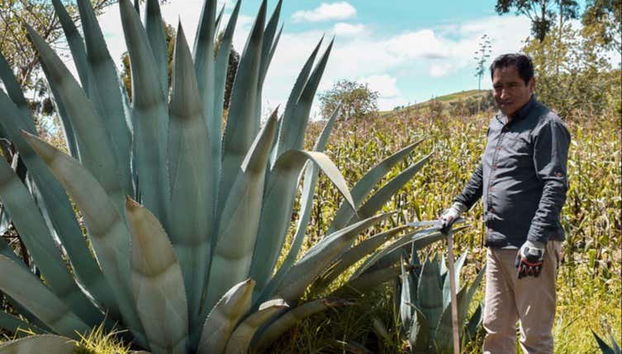 Durante il tour a Jauja