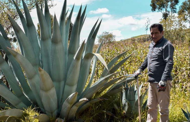 Tour di Huancayo, Jauja, Laguna di Paca e Wawi Wawi - Foto 4