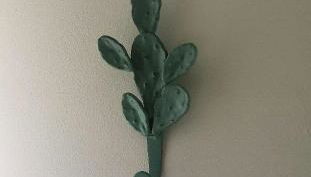 Il Fico d'India - Photo 2