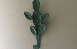 Il Fico d'India - Photo 2