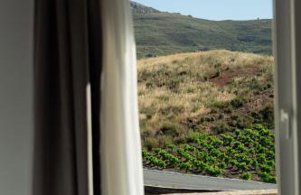 Lavender Suite - Foto 31
