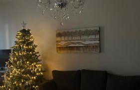 The classic house - Foto 8