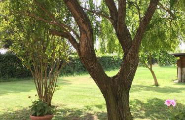 Villa Favilli - Foto 39