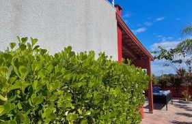 Casa de campo ninho verde - Foto 50