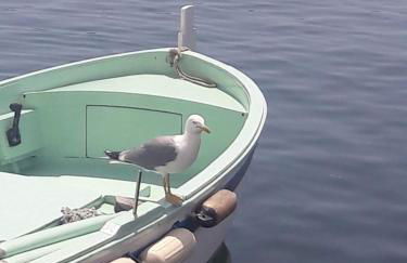 La Casa di Titina - Foto 59