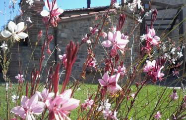 Agriturismo Valiana - Foto 52