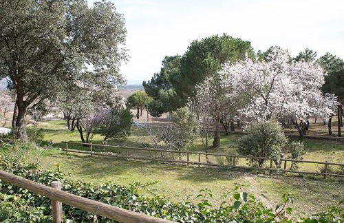 Huerto San Antonio - Foto 27