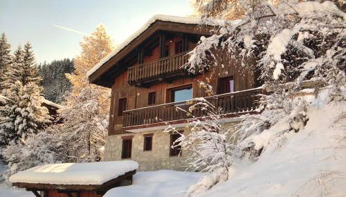 Fabulous chalet La Plagne - ski in-ski out - Sauna with Mont Blanc view - Foto 4
