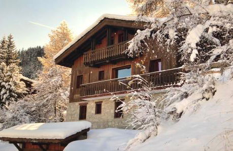 Fabulous chalet La Plagne - ski in-ski out - Sauna with Mont Blanc view - Foto 4