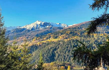 Nido Alpino Terme e Sport - Bormio - Foto 18