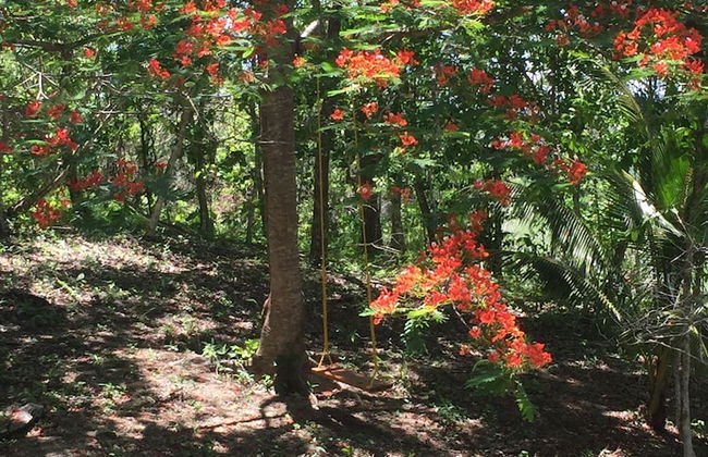 Santa Cruz Cabins - Foto 40