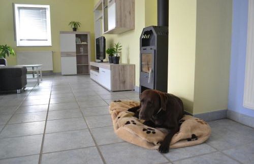 Ferienapartment Schlosser - Foto 13