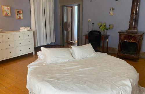 Castello Stella in Vaglio Serra ,Monferrato unesco - Photo 35