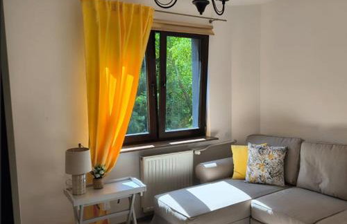 Dom Nad Jeziorem - Photo 12