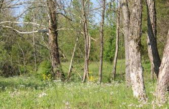 Bourbon Barrel Cottages #3 on Ky Bourbon Trail - Foto 23