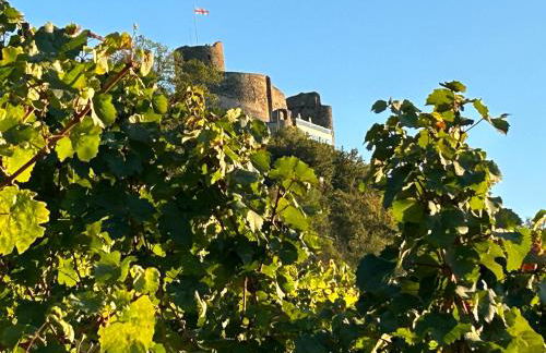 Kalverkamp Ferienwohnung - Foto 45