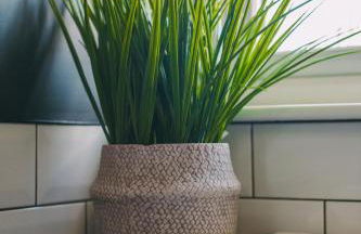 Emirates ApartHOUSE - Foto 55