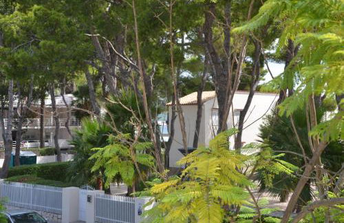 Carrasqueta - Foto 54