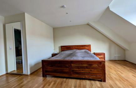 Großzügige Maisonette über dem Leipziger Zentrum - Foto 8