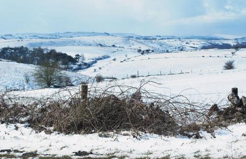 The Creamery - Foto 18