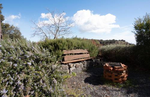 Casa Etnea - Foto 37