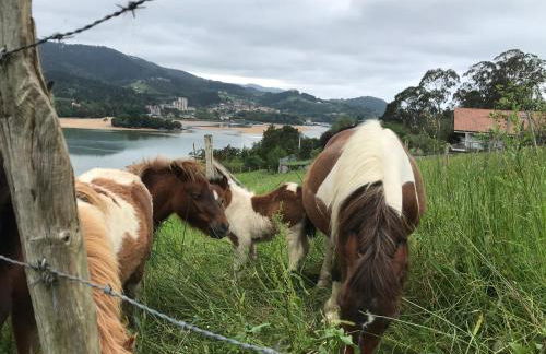 Hemingway casa rural Kanala - Foto 36